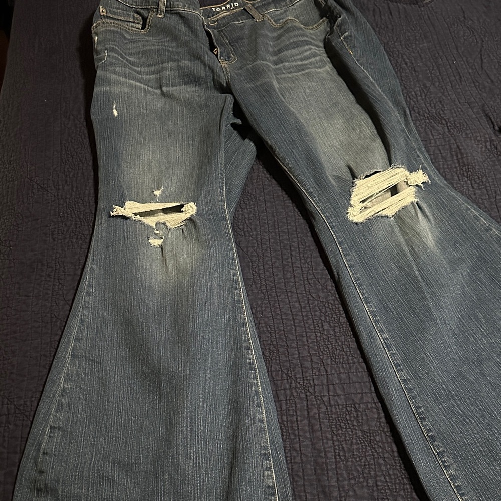 Torrid - Picture 1 of 4